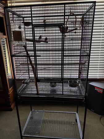 5 finches with  cage 1
