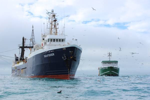 🚢 Adventure Awaits: Work as a Seafood Processor on a Fishing Boat 1