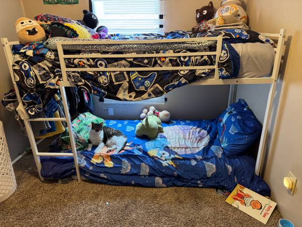 Bunk Bed with two mattresses! 1