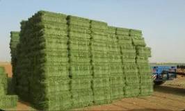Quantity Hay Available 1