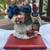 CHRISTMAS Stocking Holder Hanger Santa Claus HEAVY 3 thumbnail