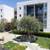Your 2BR 2BA apt, Downtown San Jose, Modern kitchen, W/D in your home! 10 thumbnail