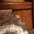 Coffee Table 5 thumbnail