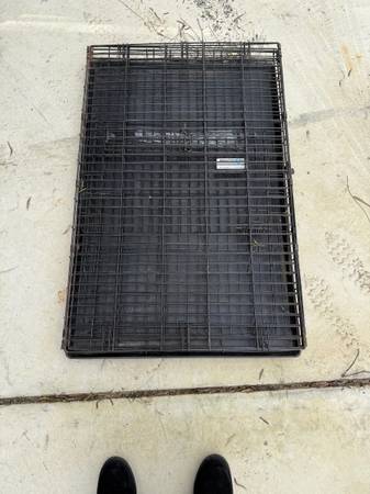 Large precision dog crate 1