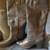 Tall brown boots, Target, faux leather, sz 8.  Brand new. 1 thumbnail