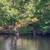 Island For Sale in Lyman, York County, Maine FOR SALE! - $249,000 18 thumbnail