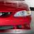 1995 Ford Saleen Mustang  for 6 thumbnail
