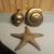 Brass Sea Shells and Starfish 1 thumbnail