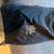 Outaware OG River Kayak Pants - made in Bozeman 2 thumbnail