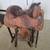 Saddle with tack (as a set). 1 thumbnail