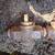 SPRINKLERS - Turn-ons, Repairs and New System installs 4 thumbnail