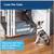Pawz Away Pet Training Bundle for Dogs and Cats 2 thumbnail
