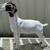 FFA/4H SHOW GOAT PROJECTS RISING VALLEY LIVESTOCK 8 thumbnail