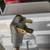 Dryer Maytag 5 thumbnail