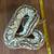 Butter ball python 3 thumbnail