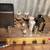 Custom 1950's Eico  HF20 Tube Guitar Amp 6L6 with EQ 2 thumbnail