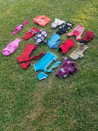 small dog clothing 1