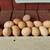 Chicken and duck eggs 2 thumbnail