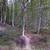 14.96 acre lot on Reconstruction Road 3 thumbnail