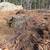 Stump grinding and Excavation. 4 thumbnail