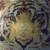Stamped Printed Pattern TIGER BEADED ART on Board! $16.00 Shipped! 4 thumbnail