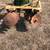 Tractor disc harrow 4 thumbnail