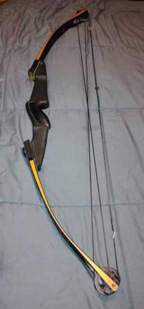 Darton 50MX compound bow 1