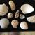 Beautiful 210 Piece Sea Shell and Coral Collection 15 thumbnail