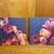 Flower Canvases 1 thumbnail