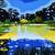 Alex Nizovsky - Yellow Lake II - Modern Landscape Art Painting 30"x24" 1 thumbnail