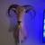 Aoudad trophy mount taxidermy 1 thumbnail