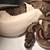 Piebald Ball Python Proven Breeder 1 thumbnail