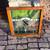 Antique Window - SG with Shield 6 thumbnail