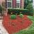 🌿 Spring Landscaping Services Available! 🌿  We are now scheduling for the 11 thumbnail