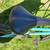 Bianchi bike purchased in 2020 from Grand Performance 4 thumbnail