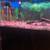 55G Aquarium Fish Tank  W/Fishes 6 thumbnail
