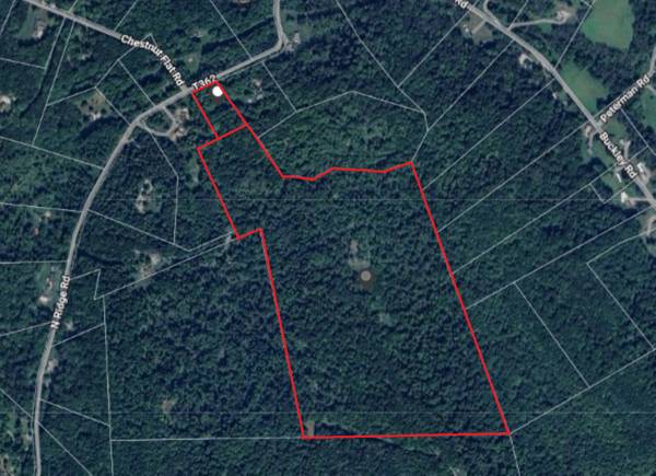 $298,000 59.6 ACRES of VACANT LAND (Shelocta)63836542942465120