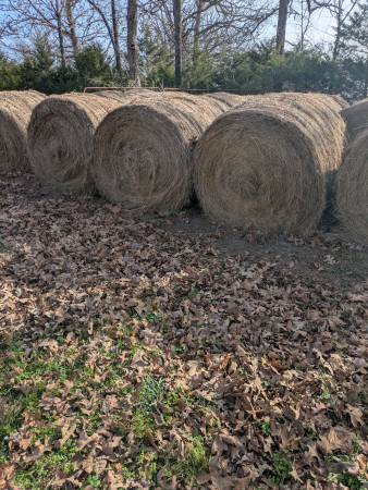 Hay for sale 1