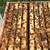 Honey bees colonies, 5 frames 1 thumbnail