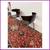 West Elm Mod Wrap Dining Chairs, Pair 3 thumbnail