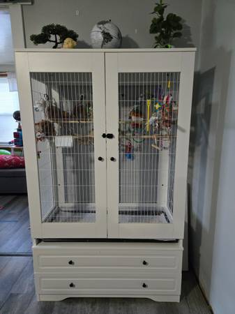 4 parakeets with cage 1