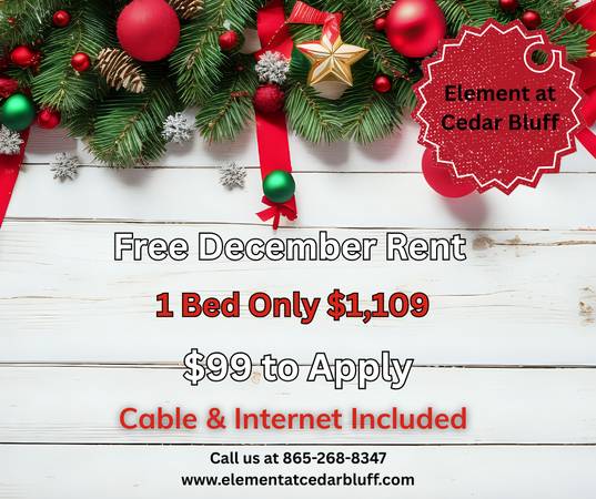 1BR Apartment – $1109/mo + FREE December Rent! 1