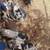 Livestock 3 thumbnail