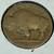 5-1927 Buffalo Nickels. 7 thumbnail