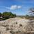 Duchesne, Utah Land for Sale 9 thumbnail
