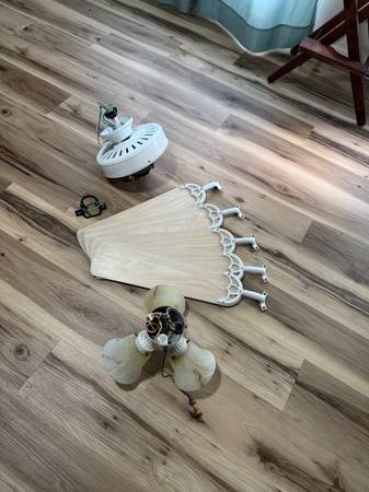 Emerson Hazelwood Ceiling fan 1