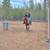 Arab mare 6 thumbnail