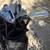 Golf staff bag 5 thumbnail