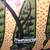Vintage African Folk Art Painting on Canvas of Animals 12 thumbnail