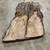 Spalted maple 1 thumbnail